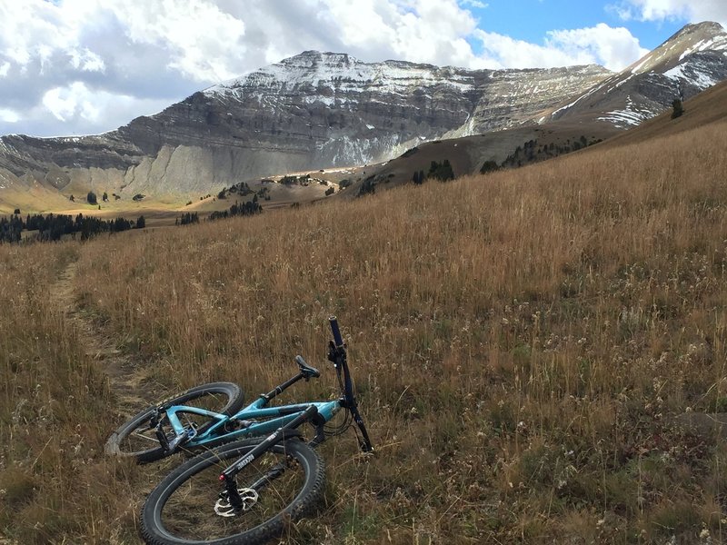 Cedar Mountain makes for a dramatic backdrop.