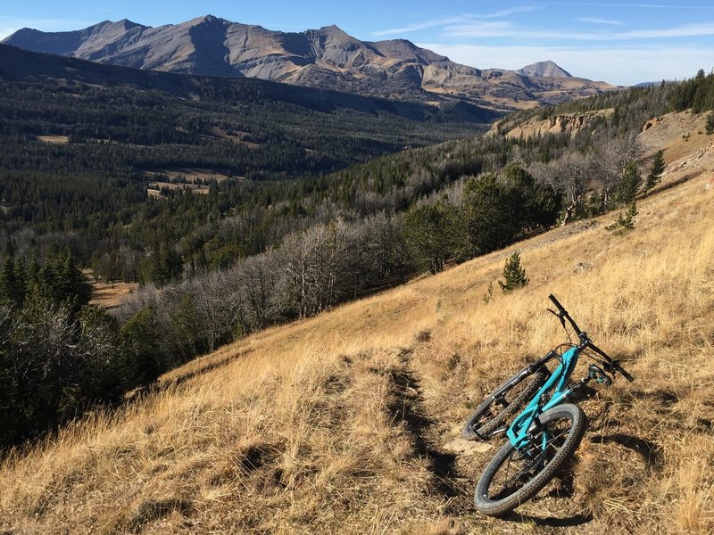 Views of the Cedar Massif