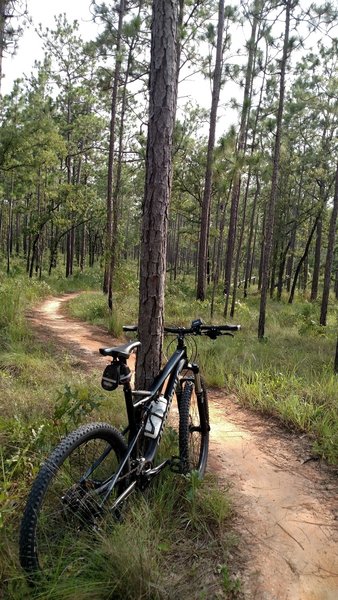 Riding Munson hills in Tallahassee Florida.