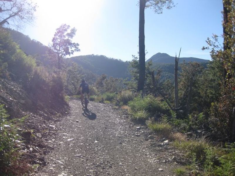 The Dun Mountain Trail enroute to Third House