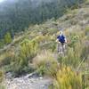 Approaching Windy Point soon after leaving the beech forest