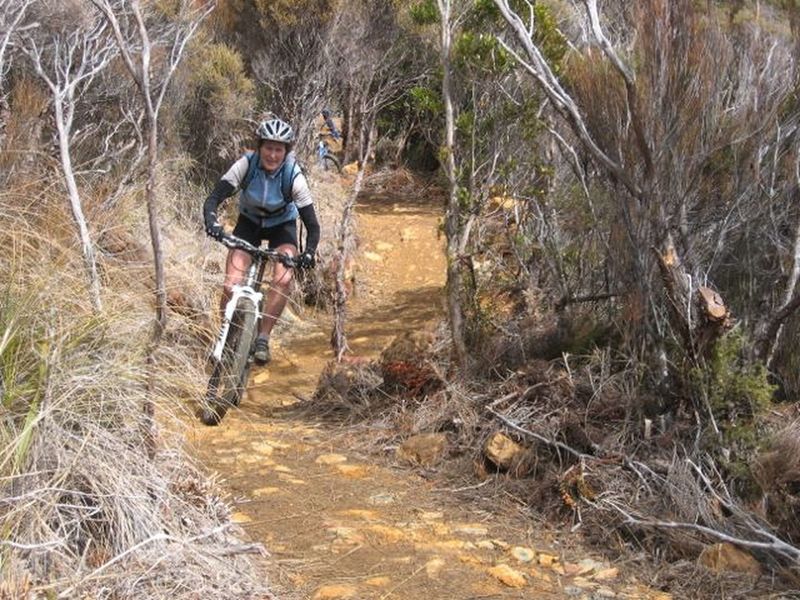 The trail winds through manukas and scrub soon after Coppermine Saddle