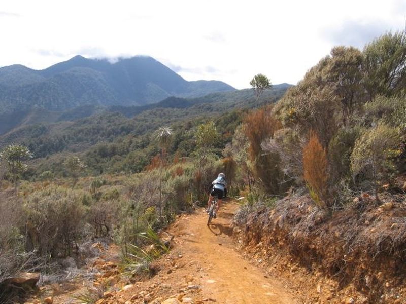 Manuka and dracophylum scrub line the trail into the South Maitai