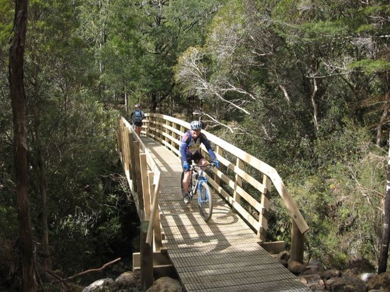 Relief for your brake fingers as the descent mellows and you cross the South Maitai Bridge