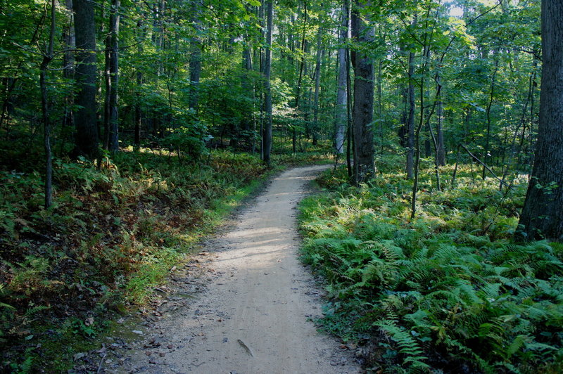 Rails to River Trail segment.