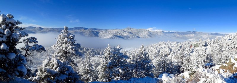 Fog on a snow covered morning