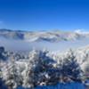 Fog on a snow covered morning