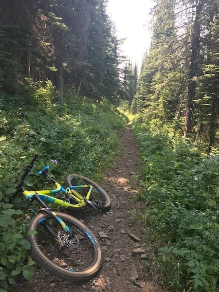 Trail #51 up to Divide Lake.