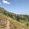 Great trail that sidehills towards buck and iron mountains