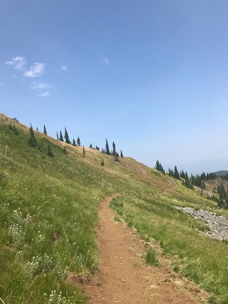 Great trail that sidehills towards Buck and Iron Mountains.