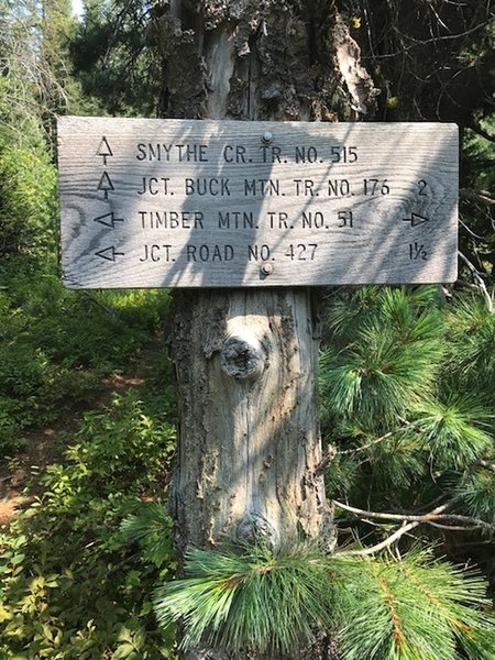 Trail sign you'll pass on your way up. You'll come down the Smythe trail