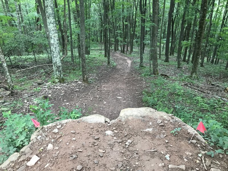 A large rock drop in the front and center on Sweet Dreams. There's a ride-around on the left.