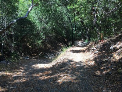 Left and through the creek or right and over the bridge