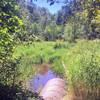 A small creek along the Camino Espantoso trail.