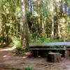 A nice bench on the Cedar Chip Trail.