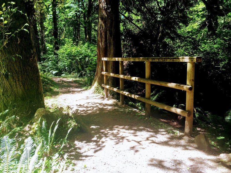 Bridge with tall railing.