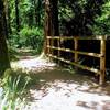 Bridge with tall railing.