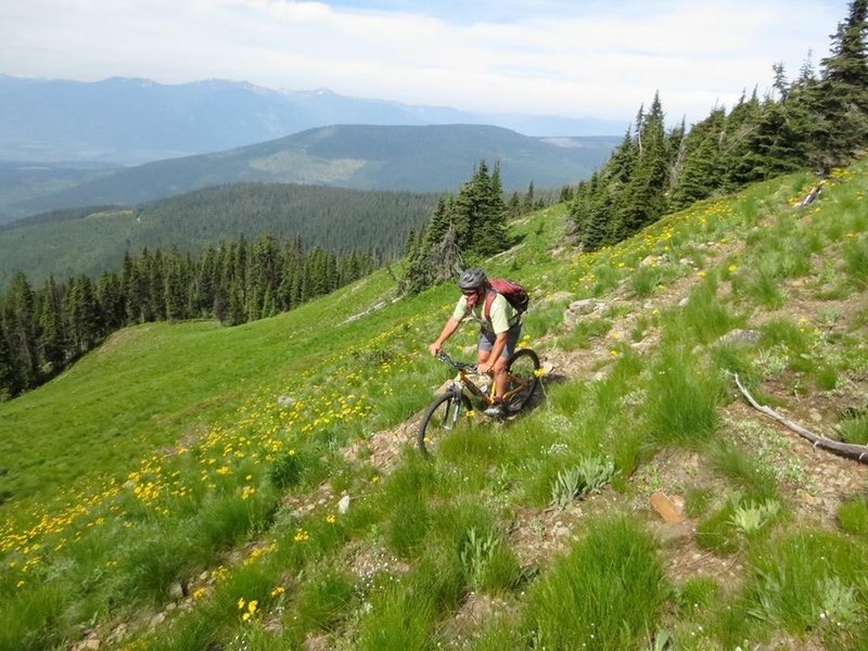 Traversing the meadows on Mission Mountain on the Arndt Trail #409.