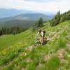 Traversing the meadows on Mission Mountain on the Arndt Trail #409.