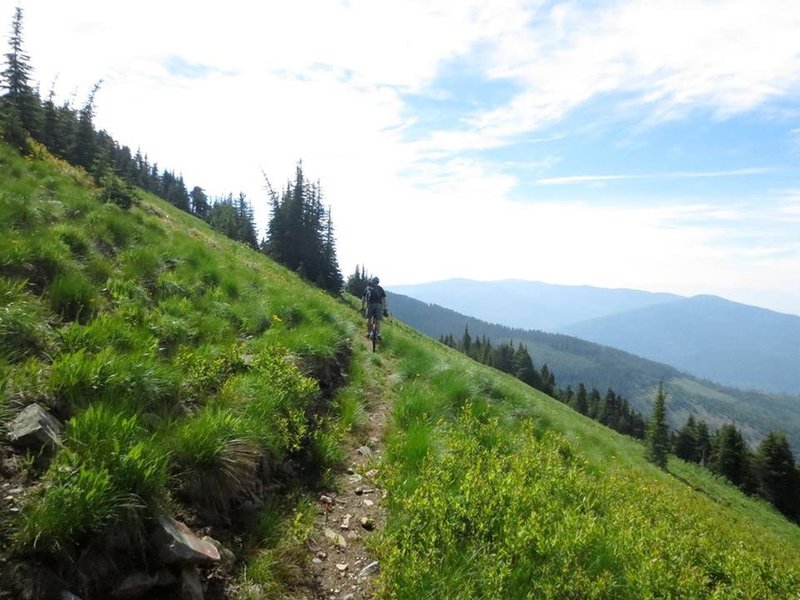 Traversing meadows on Mission Mountain.