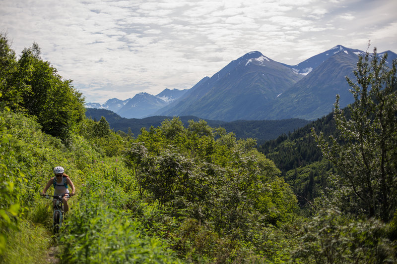 Biking up Devil's Creek Trail, looking back across the Chugach.