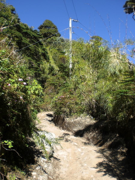 Volcan Baru trail.