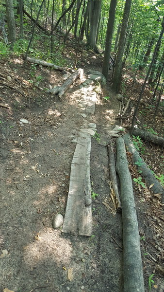 "The Hombre" - A rock obstacle on School Forest Loop 3.