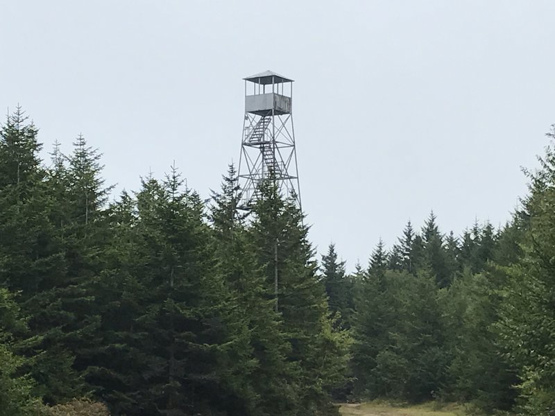 The fire tower at Snowshoe rises well above the forest.