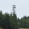 The fire tower at Snowshoe rises well above the forest.