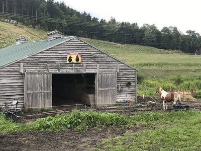 Base camp for the Autumn Breeze Stables.