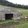 Base camp for the Autumn Breeze Stables.