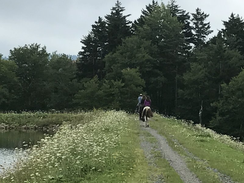 Taking in the scenery while departing the Autumn Breeze Stables at Snowshoe.