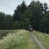 Taking in the scenery while departing the Autumn Breeze Stables at Snowshoe.