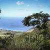 Views of the West coast of Oahu abound from the Peacock Flats Loop.