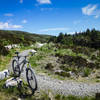 Wide open spaces abound on the Red Trail at Rostrevor Forest.