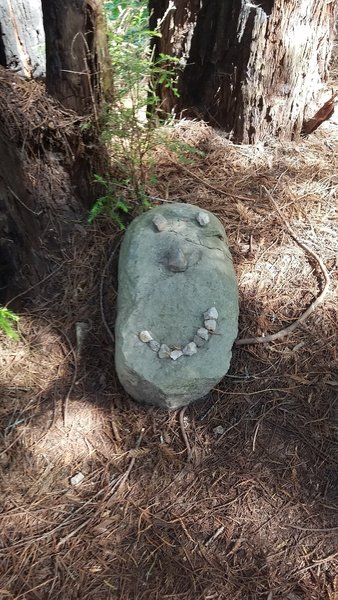 There's a lot of rocks in Anadell, some of them make you smile, some of them smile at you.