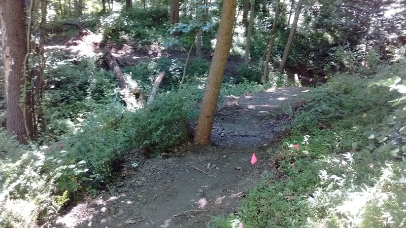 Brand new flowing singletrack section added to the River Road Trail...fun!