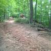 Rutted and rocky descent near the east end of the Ridge Trail.