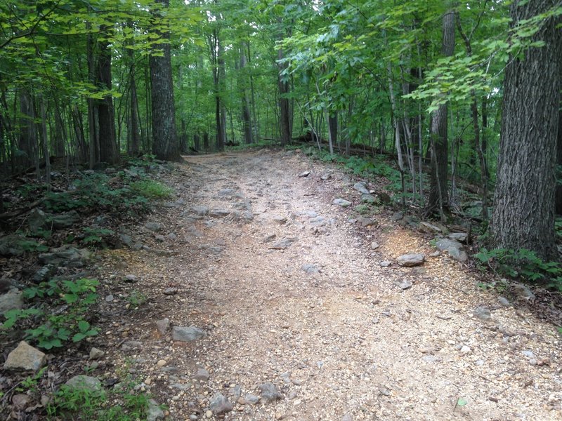 Rock Garden on the Ridge Trail