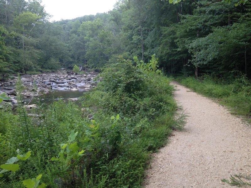 Difficult Run alongside the Difficult Run Trail