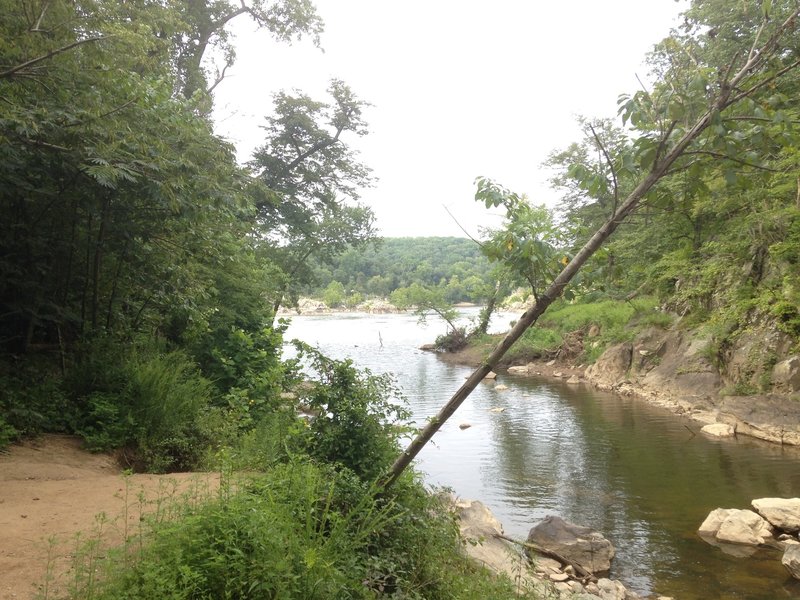 Terminus of Difficult Run where it meets the Potomac.