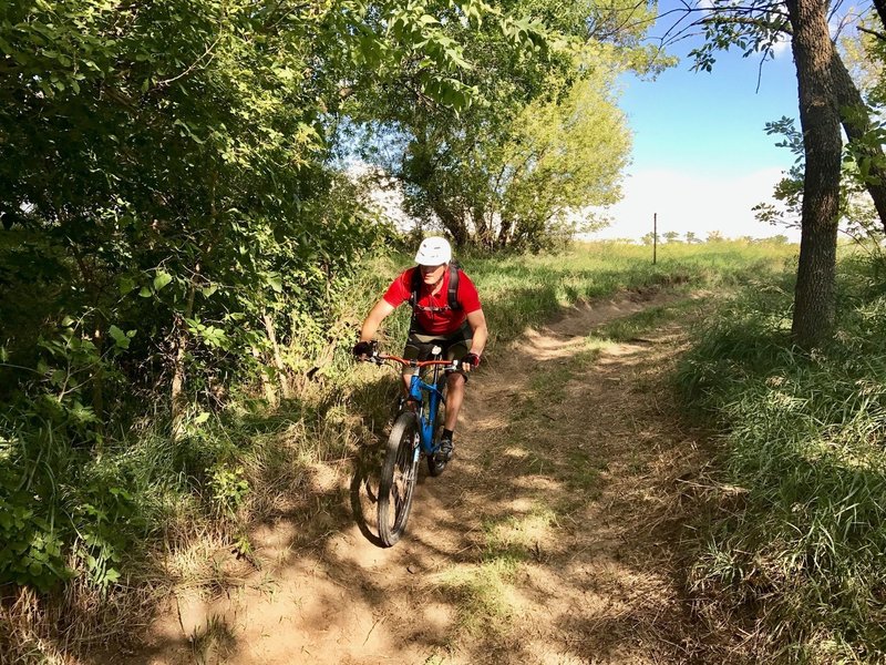 Entering the first wooded section of the trail.