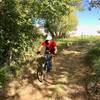 Entering the first wooded section of the trail.