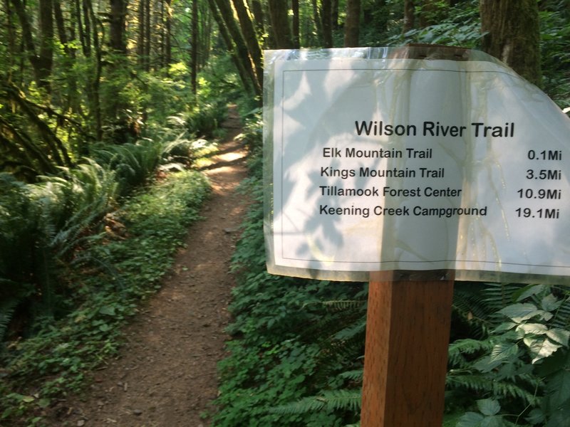 Close up trail sign for Wilson River Trail heading west from Elk Creek camping area.