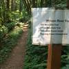 Close up trail sign for Wilson River Trail heading west from Elk Creek camping area.