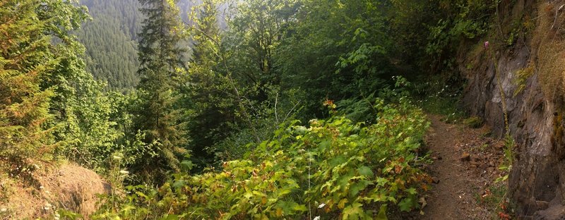 The first expansive view along this section of the trail.