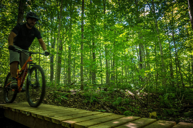 Excellently maintained bridges over some fast moving creeks.