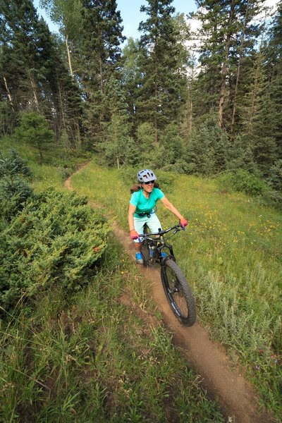 South Boundary singletrack.