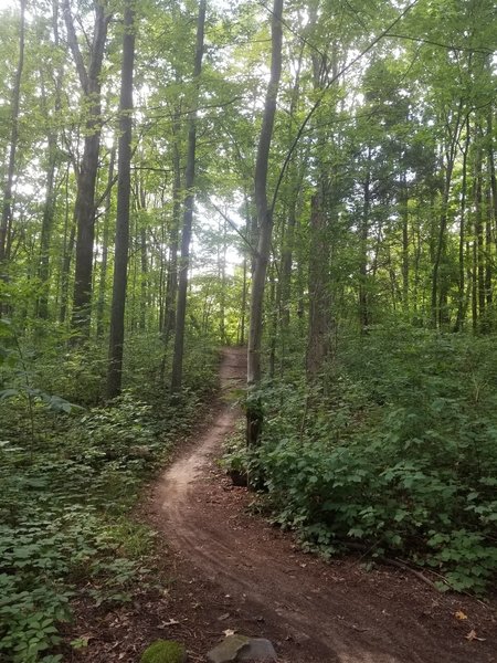 Connector trail going from B to C loop