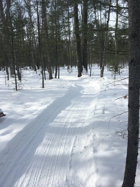 Sweet groomed singletrack for some winter riding.